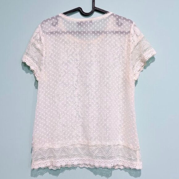 The Limited Sheer Lace Top M Floral Short Sleeve Polka Dot back - Picture 2 of 2
